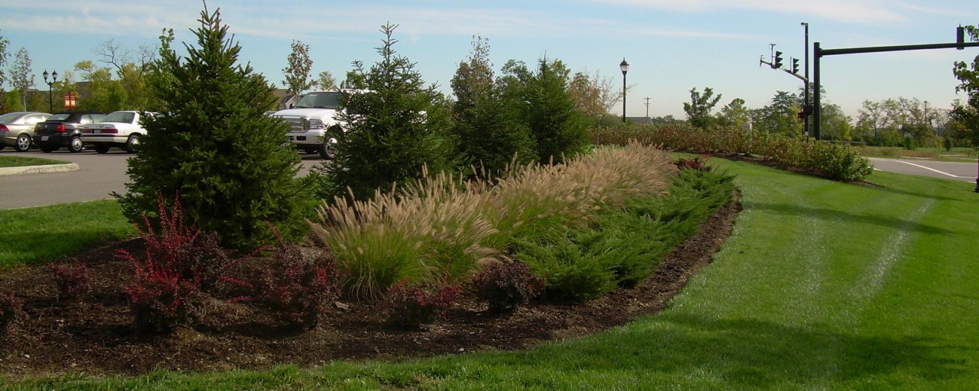 landscaping in front lawn