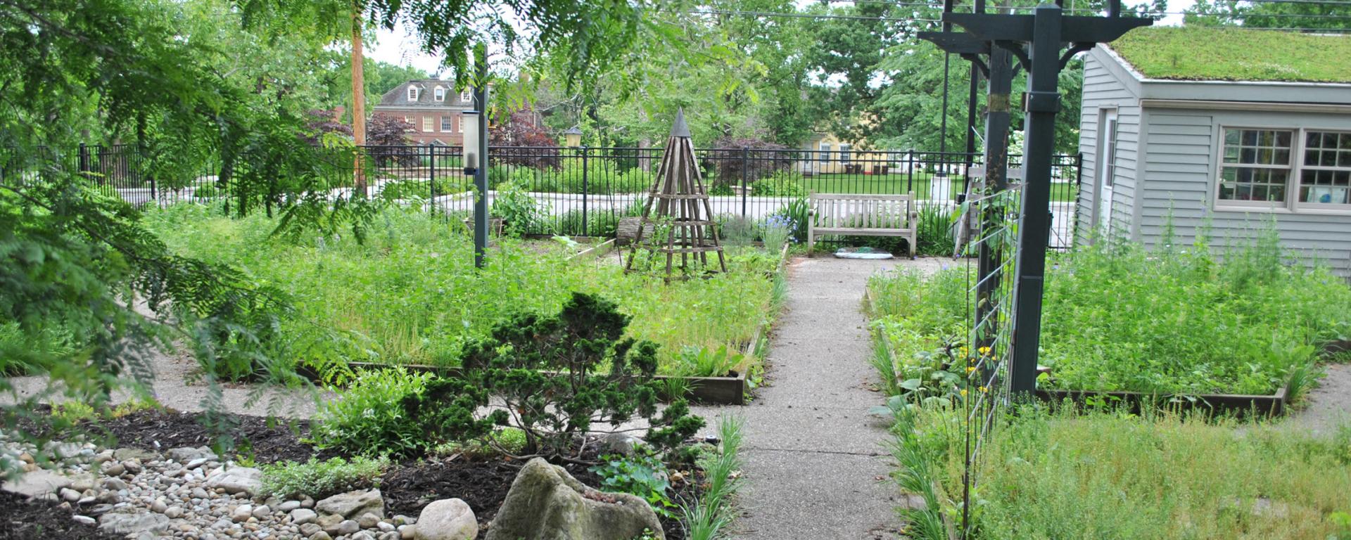 community garden