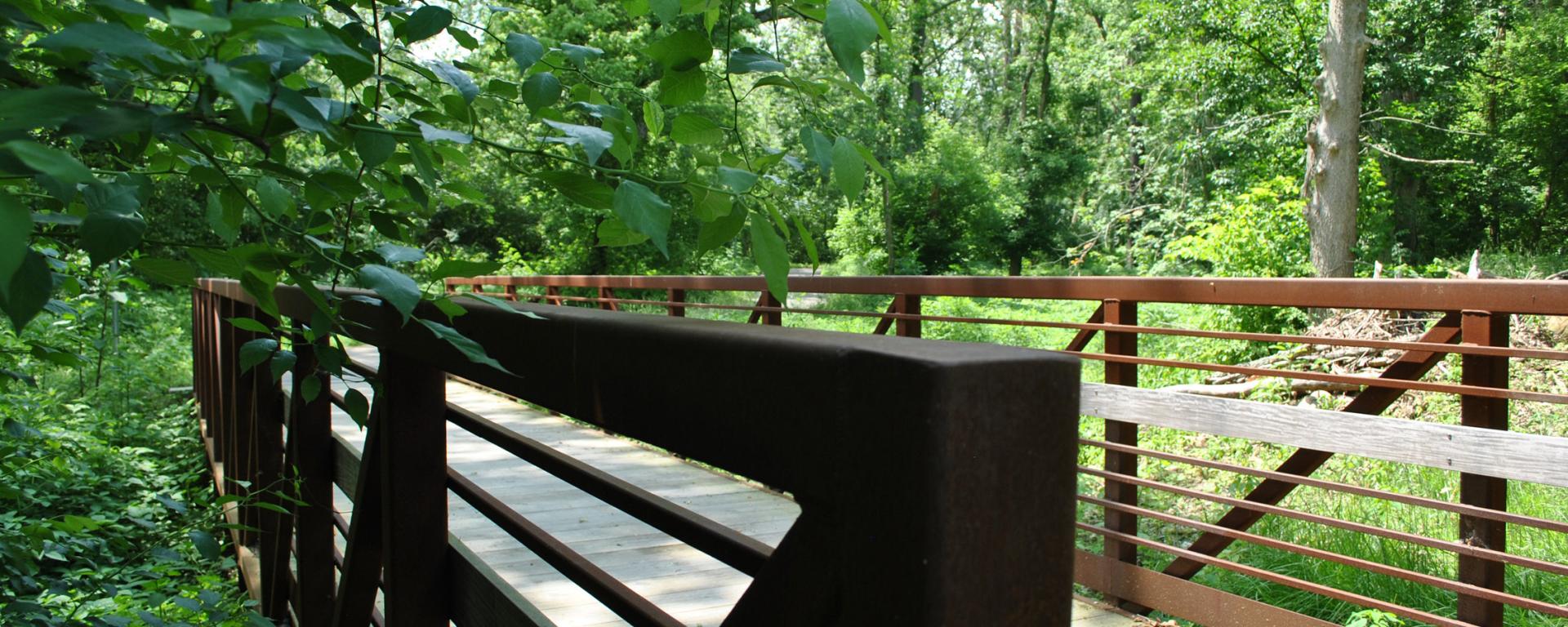 bridge along park trail