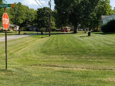 stop sign next to road and grassy lawn