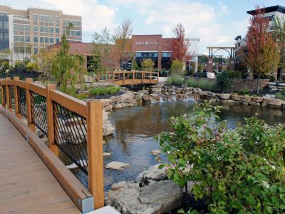 bridge over landscape pond